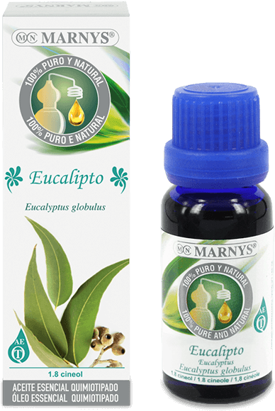 Eucalyptus Essential Oil - Aceite De Anis Estrellado Para Las Arrugas Clipart (768x768), Png Download