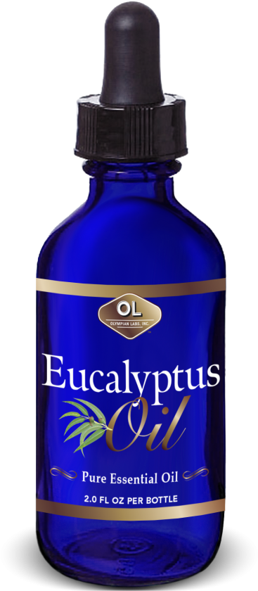 Bottle Clipart (700x875), Png Download