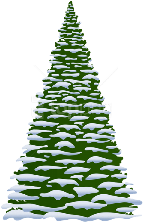 Free Png Winter Pine Tree Transparent Png - Winter Pine Tree Clipart (480x741), Png Download