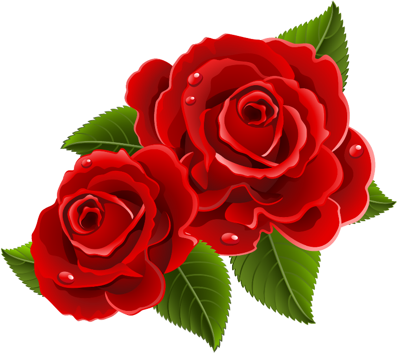 Rose Png - Beautiful Red Rose Flowers Clipart (600x534), Png Download