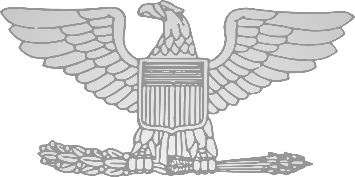 1200 X 600 1 - Army Colonel Rank Clipart (1200x600), Png Download