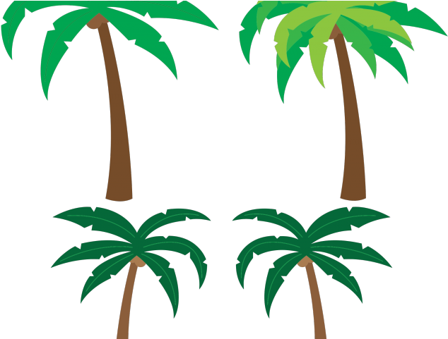 Original - Cartoon Images Palm Trees Clipart (640x480), Png Download