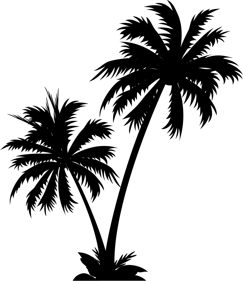 Coconut Tree Svg Png Icon Free Download 124009 Onlinewebfonts - Coconut Tree Silhouette Png Clipart (850x981), Png Download