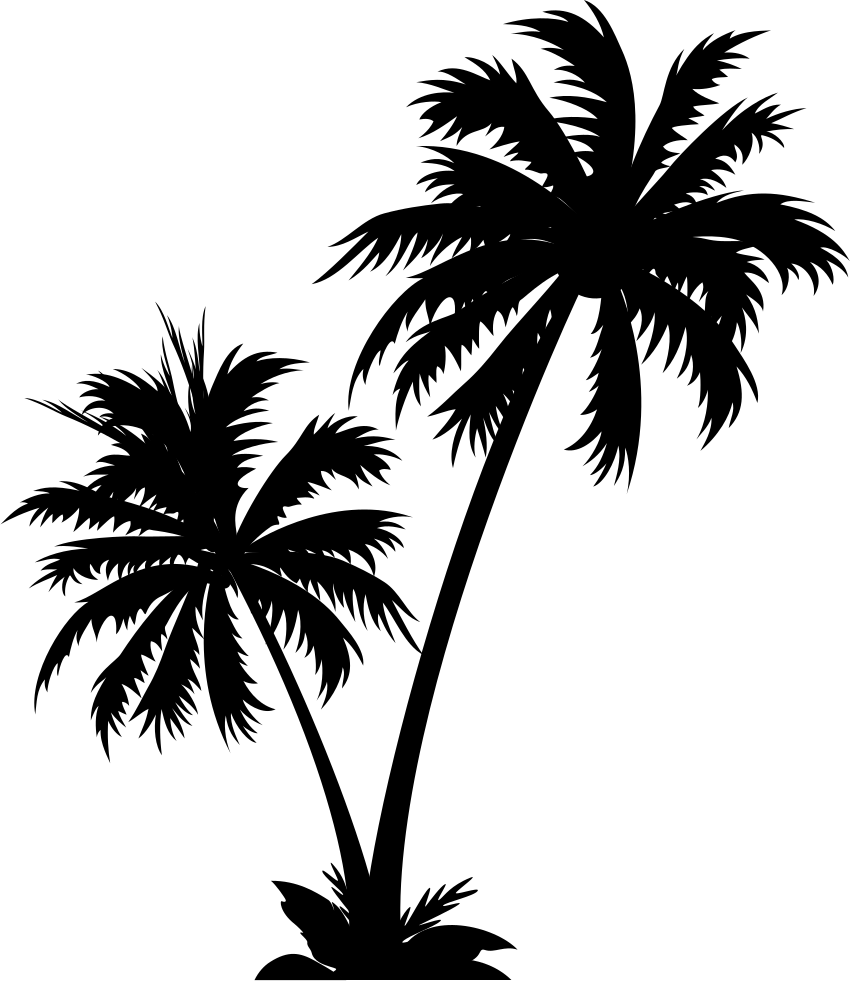 Coconut Tree Svg Png Icon Free Download 124009 Onlinewebfonts Coconut Tree Silhouette Png Clipart Large Size Png Image Pikpng