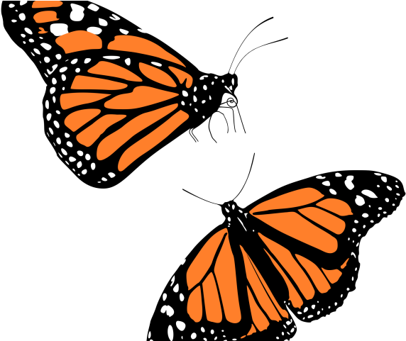 Jpg Library Download Latest Cliparts Page Dumielauxepices - Transparent Background Butterflies Clip Art - Png Download (640x480), Png Download