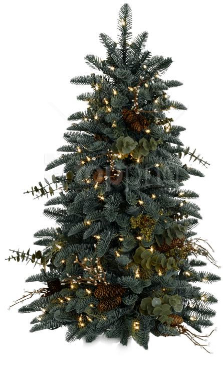 Chrístmas Tree Png Clipart (480x744), Png Download