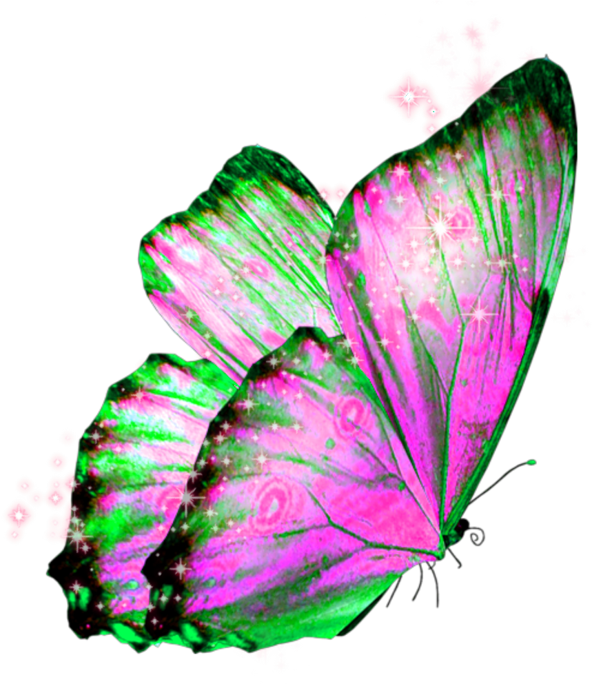 #butterfly #wings #butterflywings #fairy - Transparent Background Butterfly Pics Png Clipart (1024x1024), Png Download