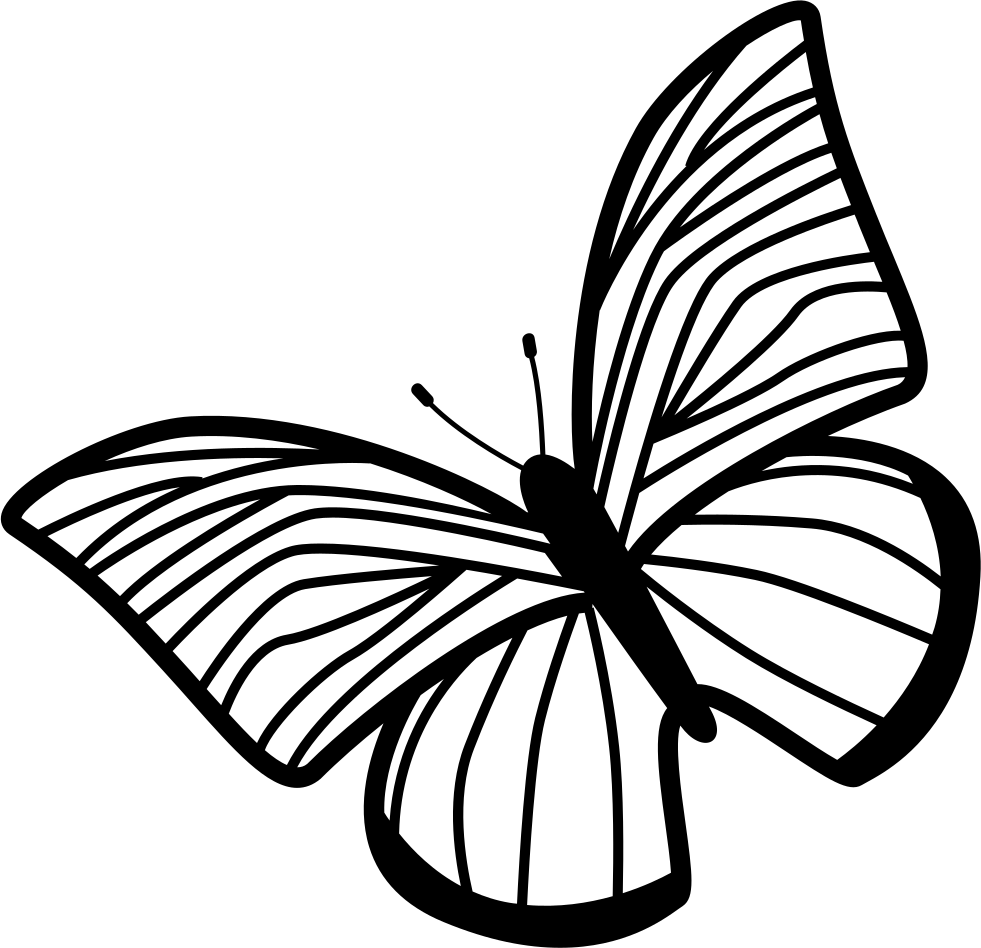 Butterfly Of Thin Striped Wings Rotated To Left Comments - Draw The Hands Of The Clock Clipart (981x948), Png Download