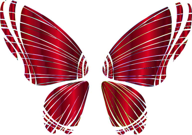 Medium Image - Transparent Background Butterfly Wing Transparent Clipart (770x540), Png Download