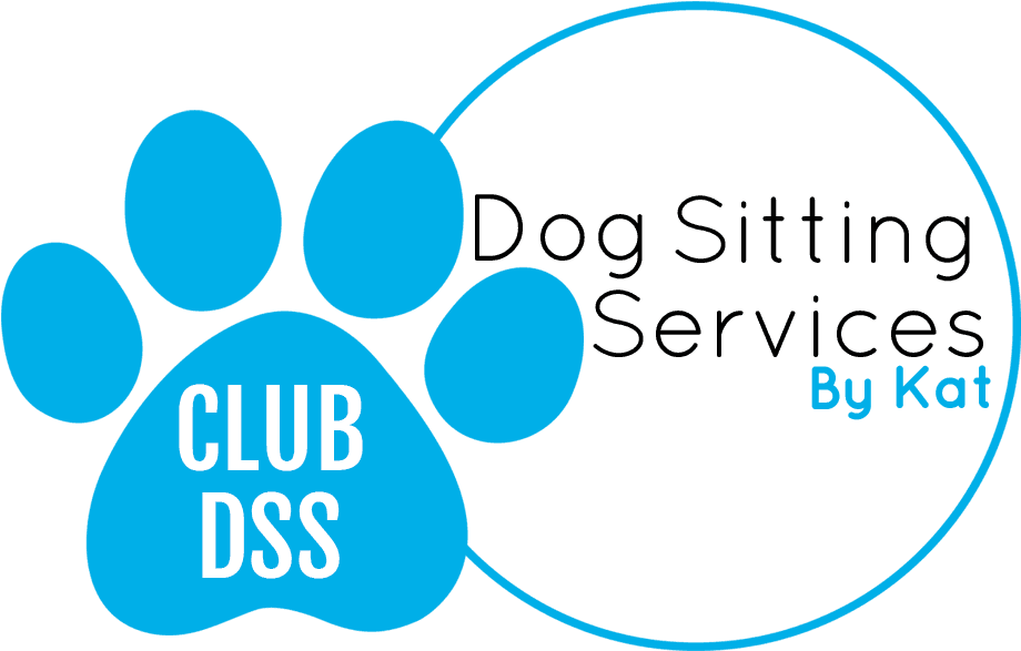 Circle Clipart (951x636), Png Download