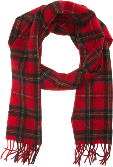 Tartan Plaid Scarf For Men ~ Barneys - Tartan Clipart (450x750), Png Download