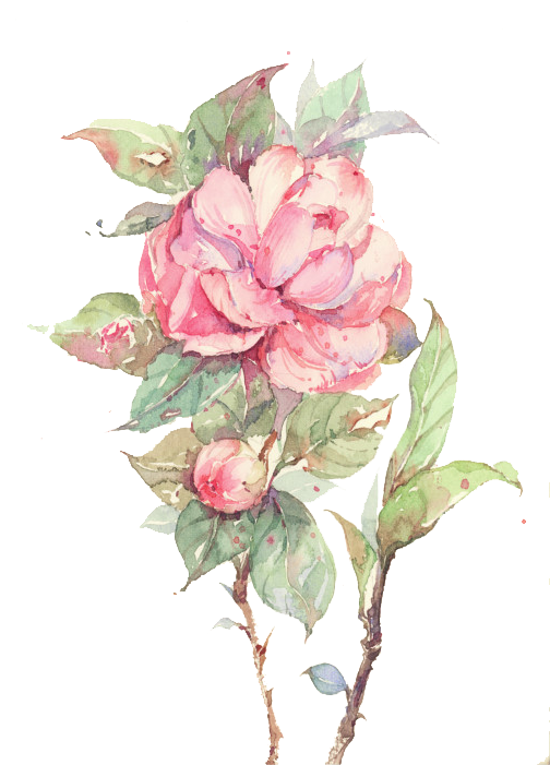 Flower Tree Png - Clip Art Transparent Png (515x700), Png Download