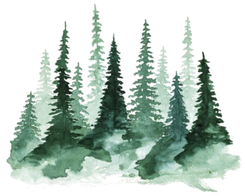 Freetoedit Watercolor Tree Green Forrest - Watercolor Pine Tree Png Clipart (1024x1024), Png Download