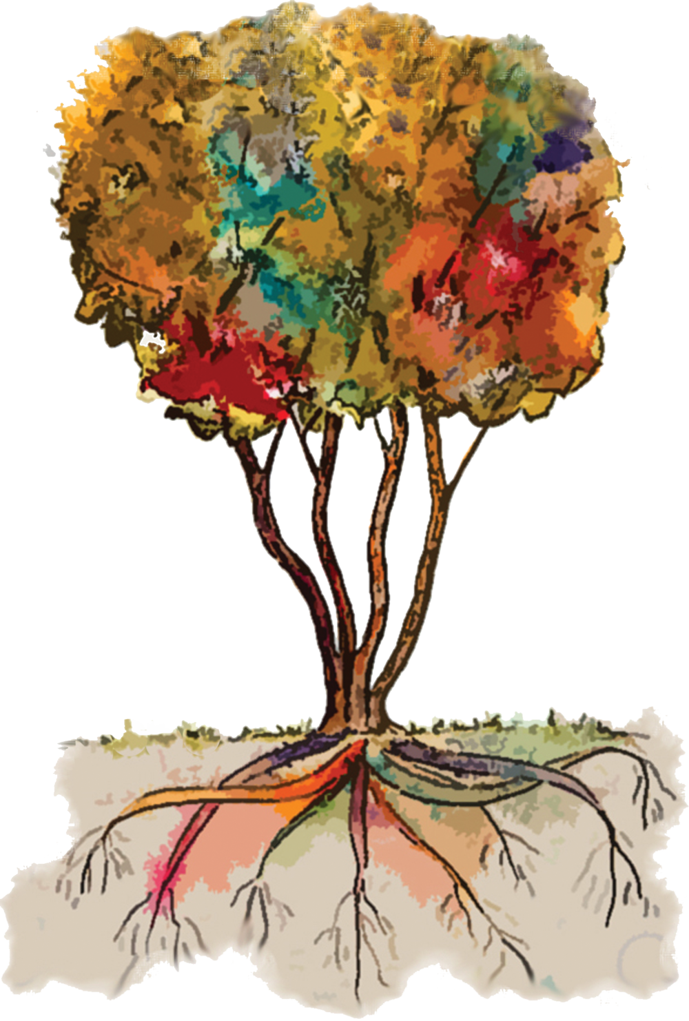 Watercolor Tree Png Clipart (1000x1482), Png Download