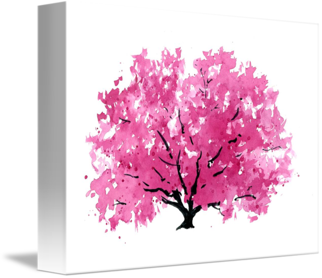 Magnolia Tree Png - Cherry Blossom Clipart (650x562), Png Download