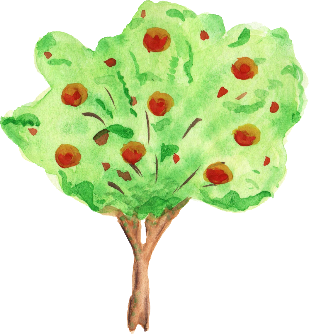 Maidenhair Tree Clipart (1054x1136), Png Download