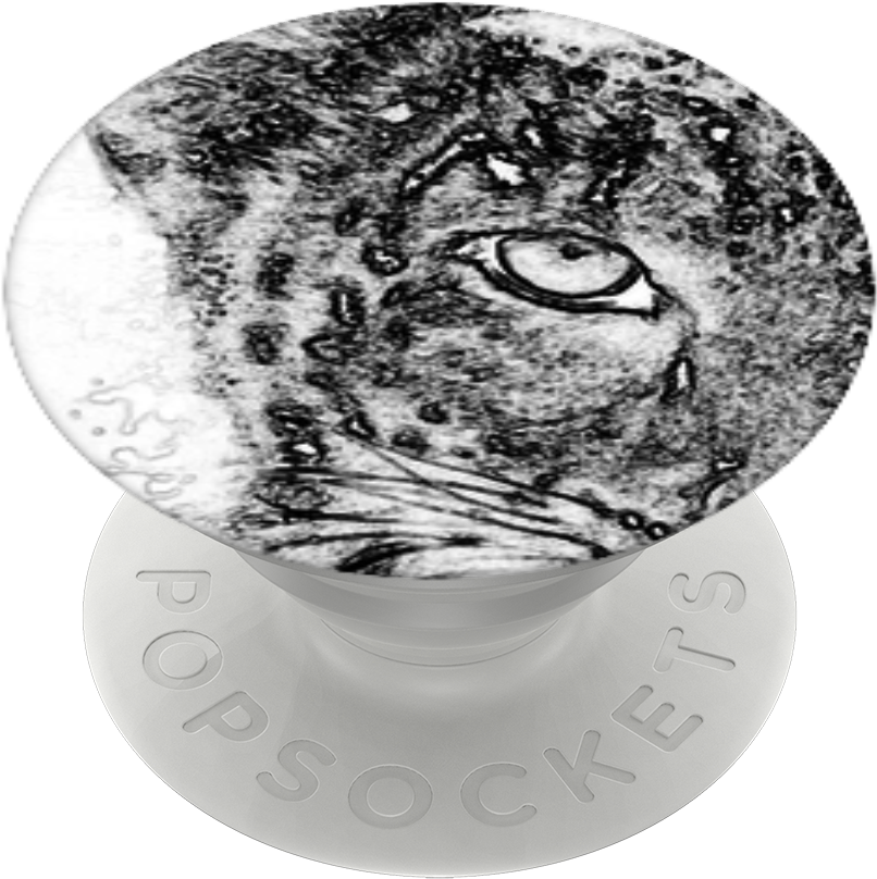 Cats Eyes, Popsockets - Owl Clipart (989x1000), Png Download