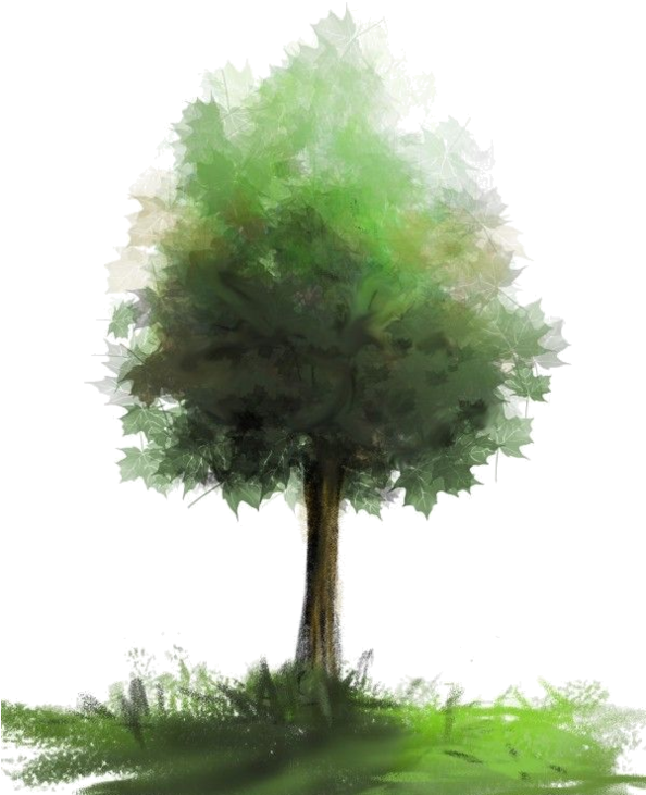 Arbre Tubes Dessin Paysager Pinterest Architecture - Foret Arbre Aquarelle Png Clipart (593x800), Png Download