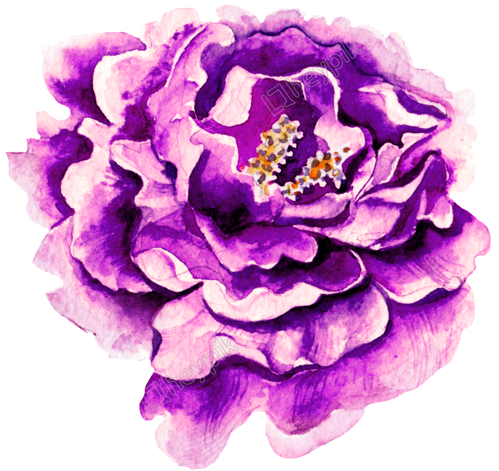 A Transparent Png Free Download - Purple Floral Water Color Clipart (1024x937), Png Download