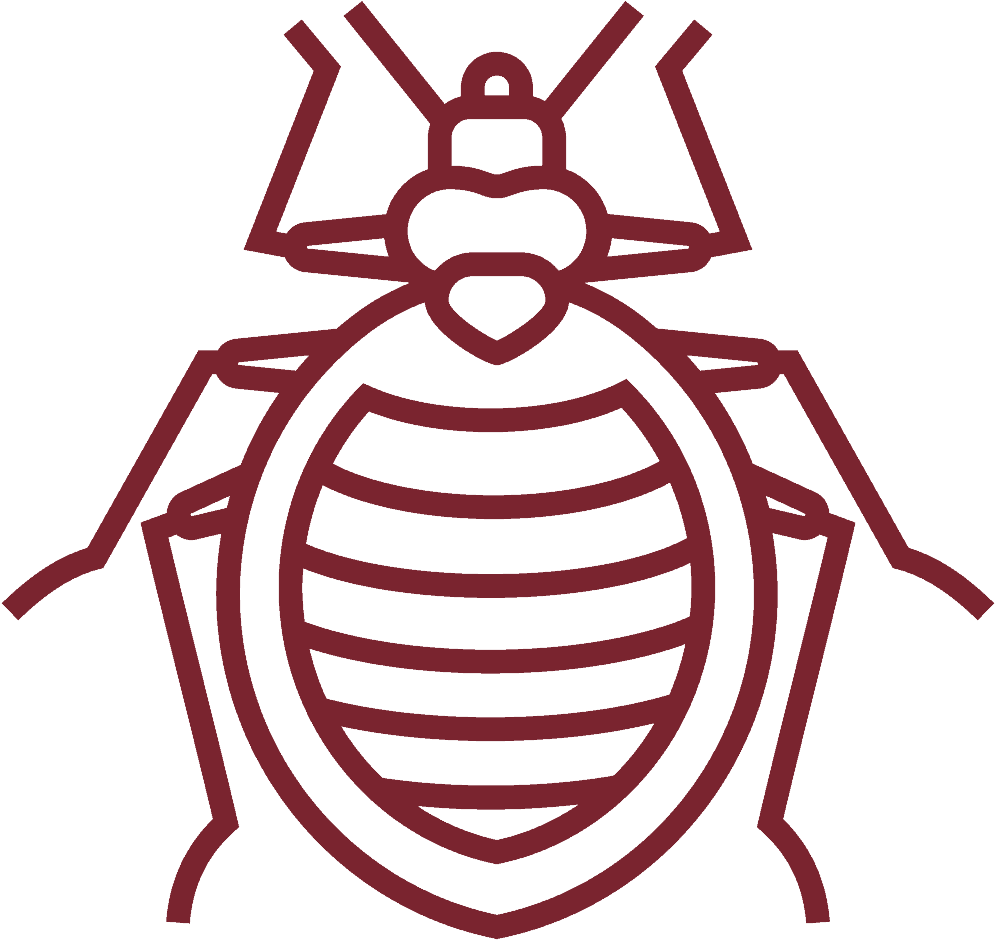 Crawling Pest Collection - Bed Bug Vector Clipart (1200x1200), Png Download