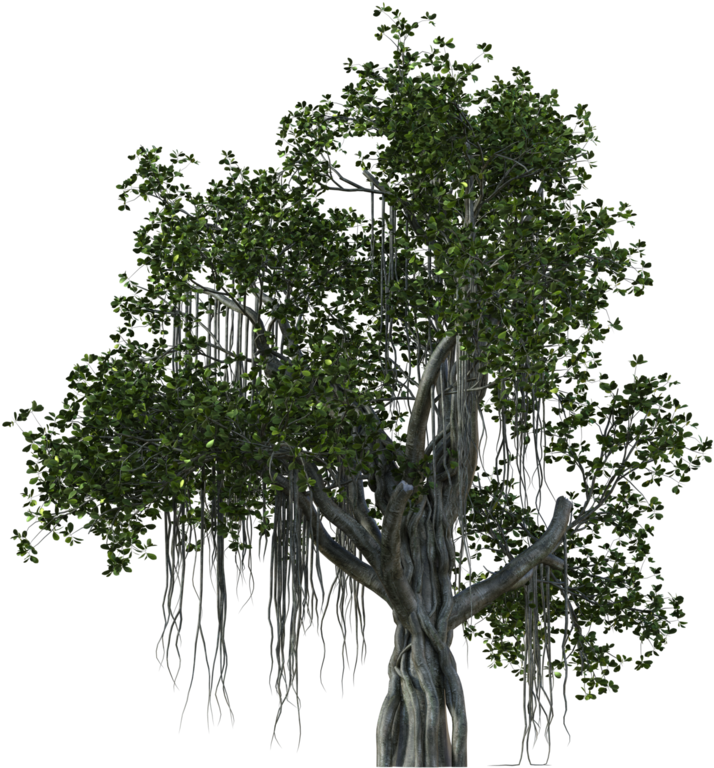 784 X 1019 9 - Wood Clipart (784x1019), Png Download