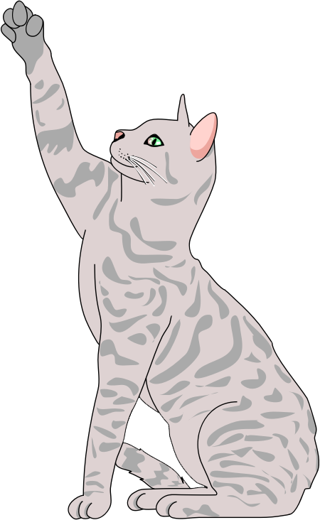 Cat Clipart - Realistic Clip Art Cat - Png Download (450x732), Png Download
