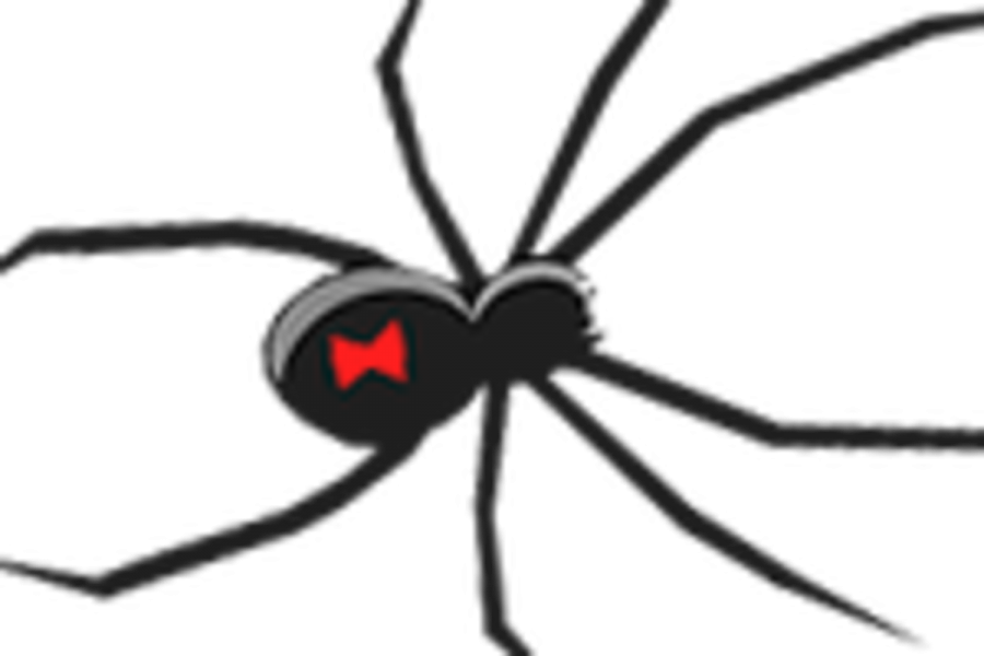 Halloween Looks - Black Widow Clip Art - Png Download (900x600), Png Download