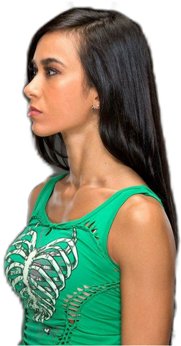 Wwe Sticker - Girl Clipart (1024x1024), Png Download