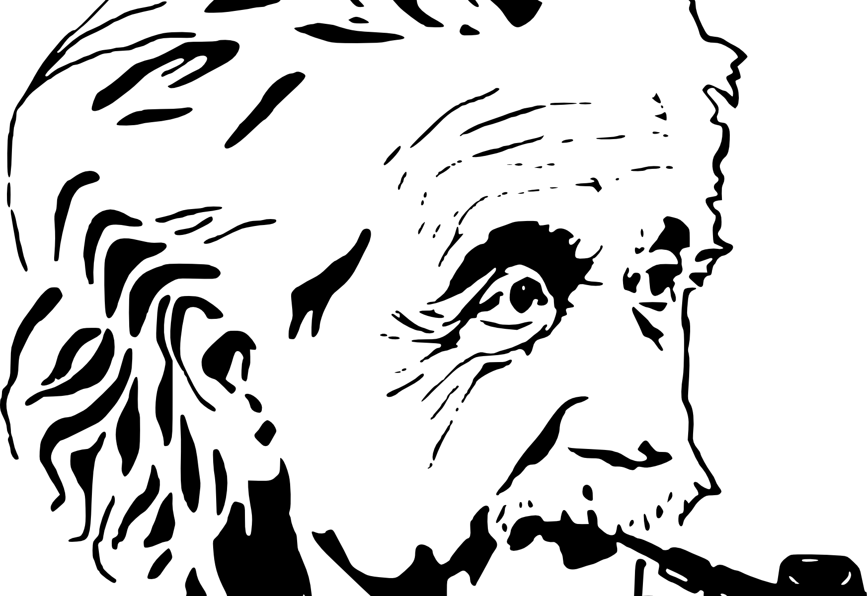 Png Transparent Library Quotes By Albert Einsteinriddle - Albert Einstein Stencil Art Clipart (1745x1200), Png Download