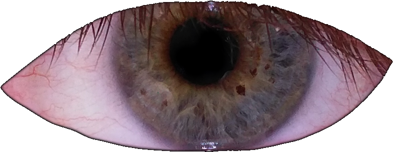 View Eyes , - Close-up Clipart (945x370), Png Download