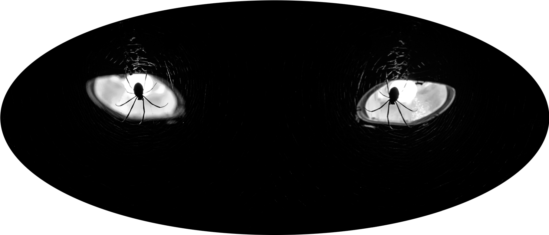 Spider Eyes - Circle Clipart (1814x1024), Png Download