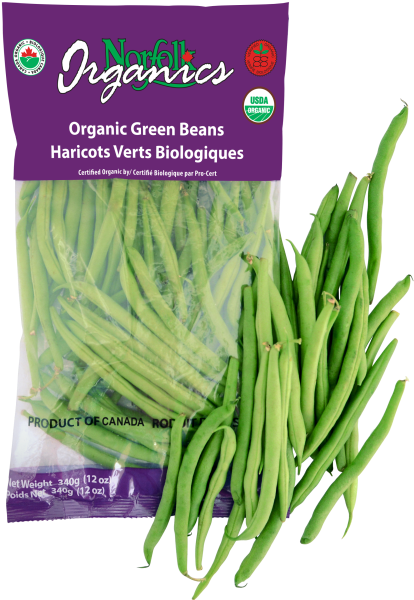 We Also Pack 10 Lb Or 25 Lb Cartons Or Rpc - Green Bean Clipart (496x631), Png Download