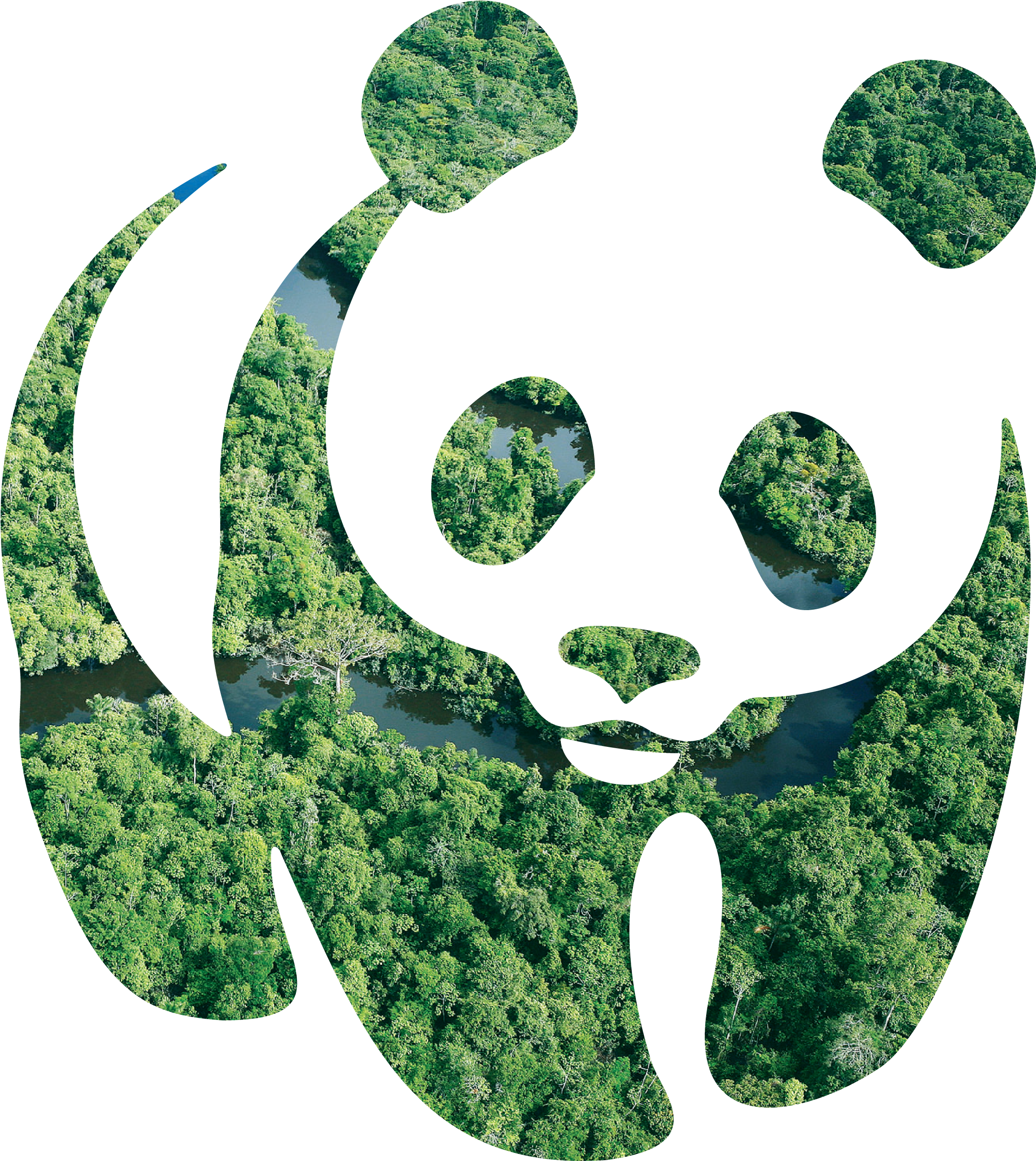 Nuestro Trabajo - Wwf And Fsc Clipart (3255x2894), Png Download