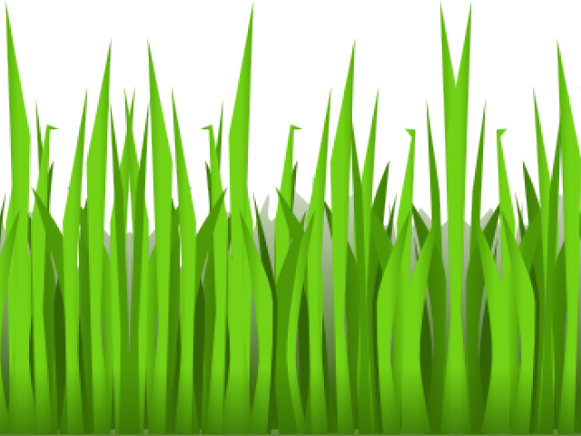 Transparent Stock Woodland Free On Dumielauxepices - Cartoon Grass Transparent Background Clipart (640x480), Png Download