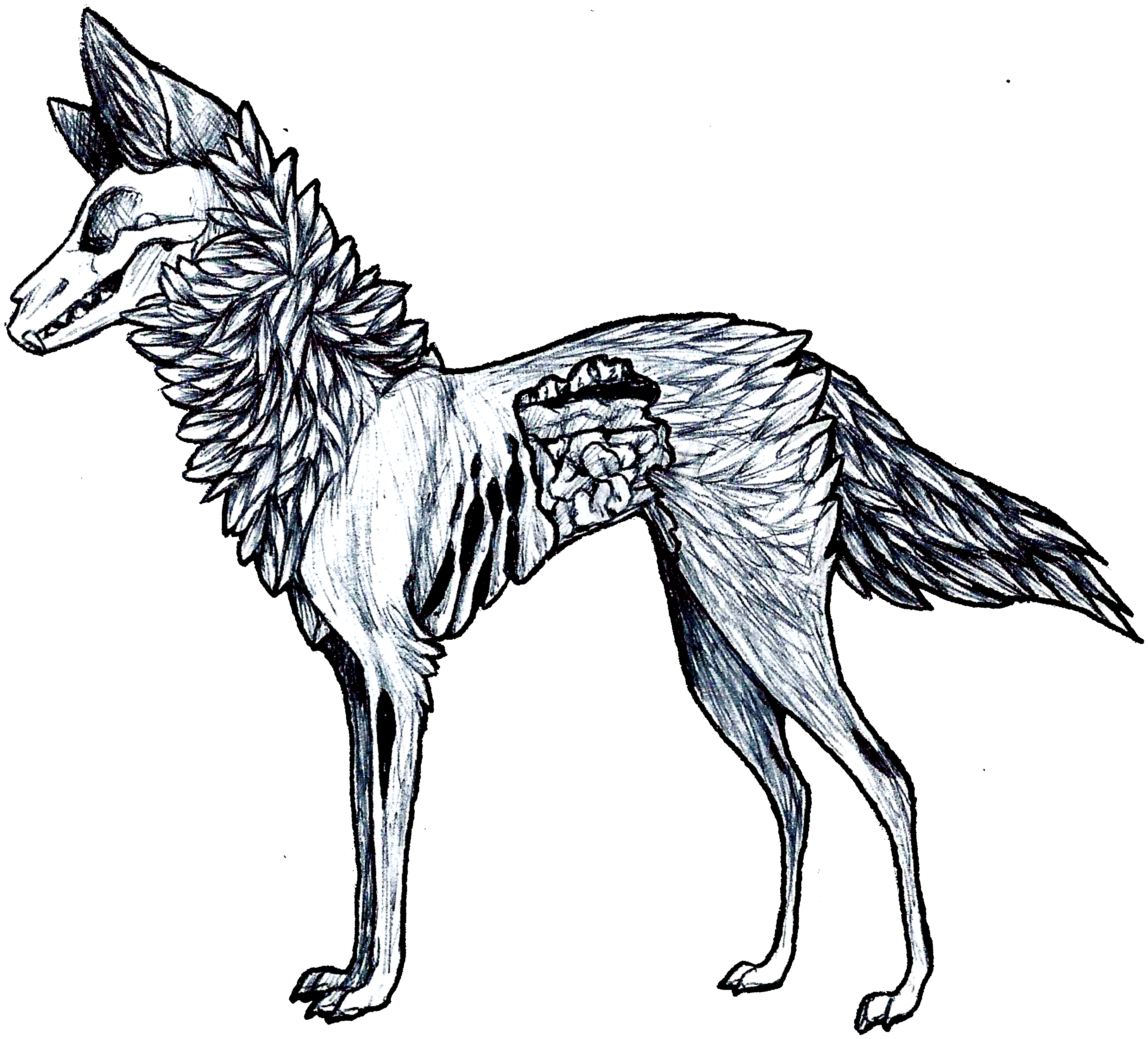 Wolf Guts Clipart (4000x3440), Png Download