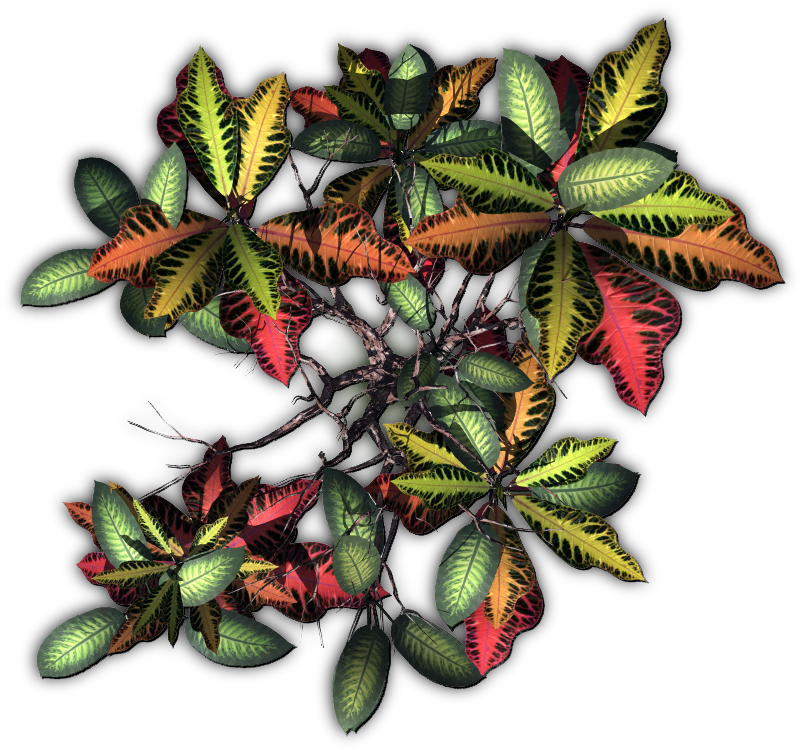 Dundjinni Tree , Png Download Clipart (800x750), Png Download