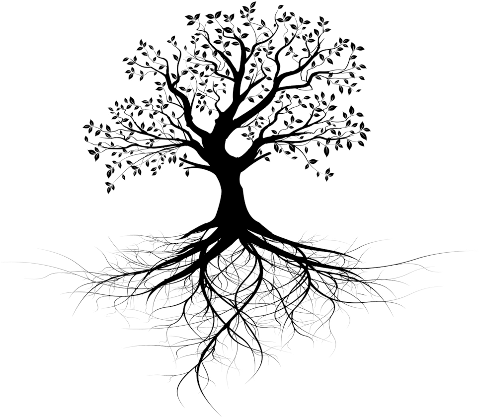 Invest In Ceiba Beach Resort And Residences - Clip Art Tree With Roots Black And White - Png Download (972x877), Png Download