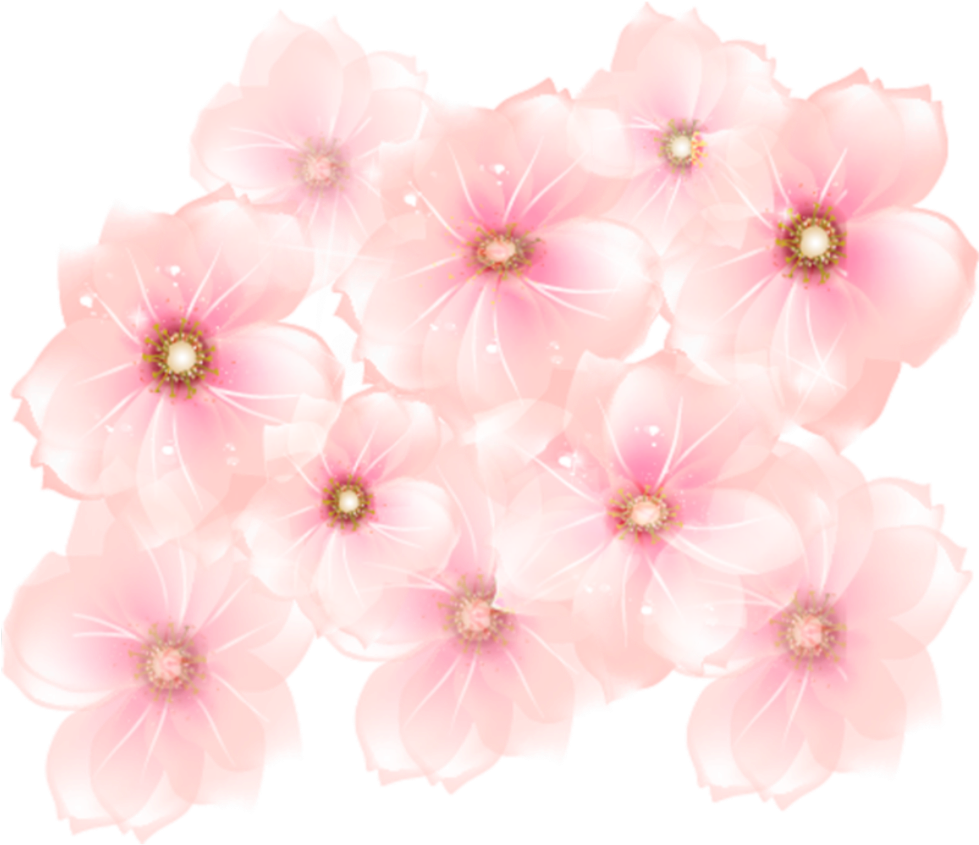 Flowers Transparent Pink Sparkles Freetoedit Clipart (1024x969), Png Download