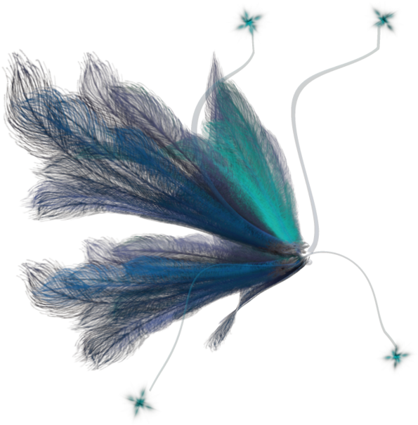 Free Download Aljanh - Fairy Wings Side Png Clipart (1024x639), Png Download