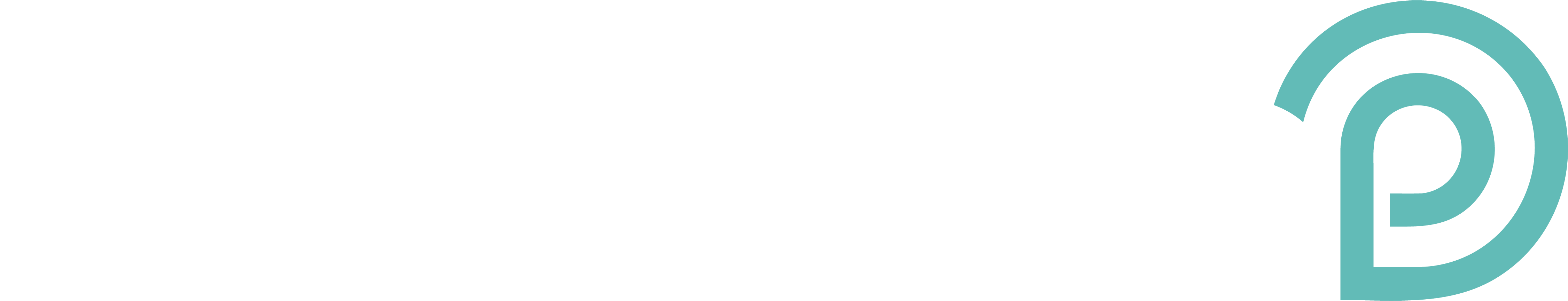 Platypus Shoes Logo Transparent Clipart (4502x1163), Png Download