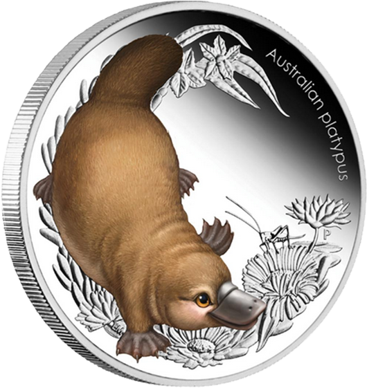 Australia 2013 50 Cents Platypus Australian Bush Babies - Platypus Clipart (560x560), Png Download