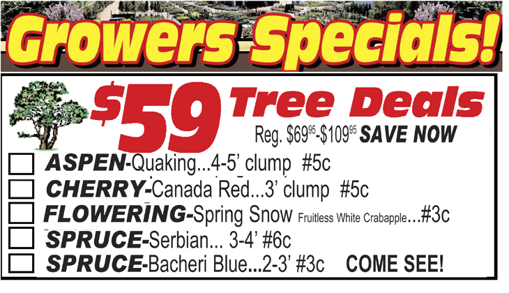 Over 210 Of The Latest Printable Coupons And Deals Steps Clipart Large Size Png Image Pikpng