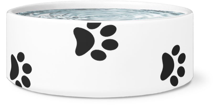 Circle Clipart (1024x1024), Png Download