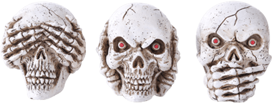 Price Match Policy - Skull Clipart (555x555), Png Download
