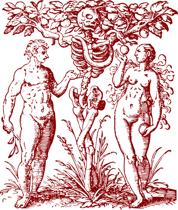 Adán Y Eva Antigua 1957 Árbol Del Conocimiento - Tree Of Knowledge And Death Clipart (608x720), Png Download