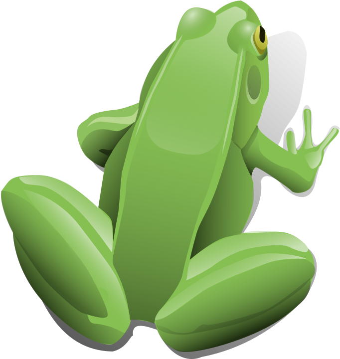 Frog Png Clipart (570x601), Png Download