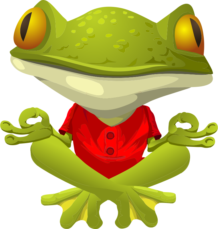 Cute Frog Graphics - Animal Yoga Clip Art - Png Download (762x800), Png Download