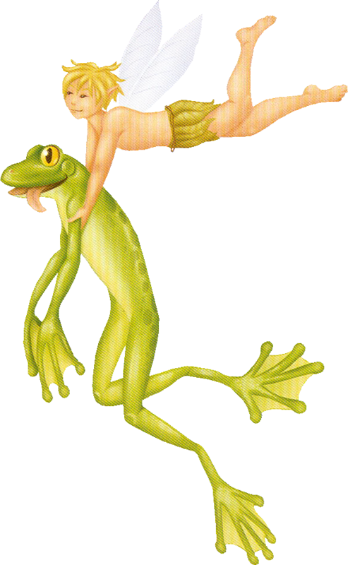 Frog And Fairy - Frog Clipart (493x800), Png Download