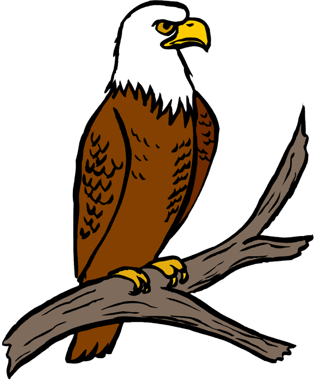 Free Eagle Clipart Eagle Feather Clipart At Getdrawings - Clipart Of Eagle - Png Download (620x750), Png Download