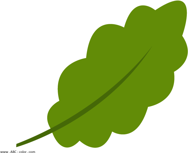 Oak Leaf Outline Clipart - Листок Дубовый Клипарт - Png Download (822x567), Png Download